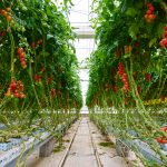 Формирование реакции на моменты расплаты